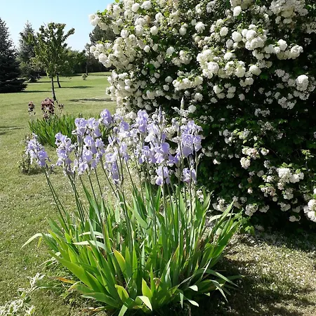 D'hotes Chez Mathilde 3* Eaux-Puiseaux