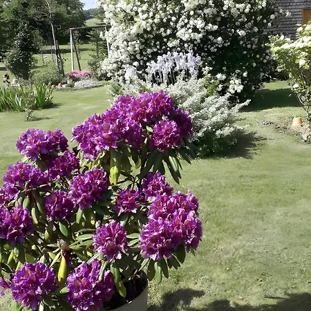 D'hotes Chez Mathilde